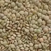 نخود و عدس درجه یک آسمان اباد