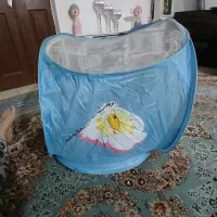 با سلام یه عدد پشه بند پسرانه