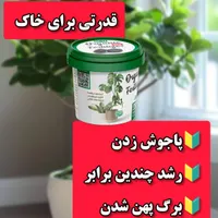 کود ارگانیک