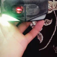 ارپاد شیامی چراغ دار