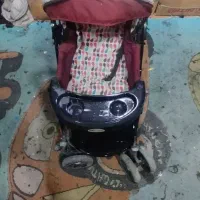 کالسکه|کالسکه و لوازم جانبی|سنندج, |دیوار