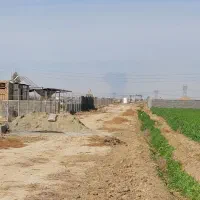 فروش-زمین-کشاورزی-باغ