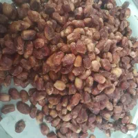 خرما زاهدی