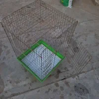فروش قفس کاسکویی بزرگ