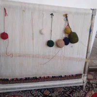 دار قالی همراه نقشه
