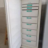 فریزر پارس