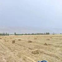 کاه پرس شد