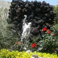 خانم جهت کار خدماتی
