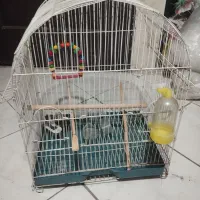 قفس پرنده