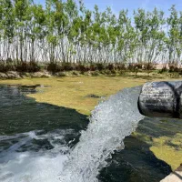 چهاردیواری اقتصادی بر آسفالت تیمیارت