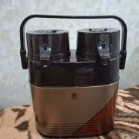 فلاکس دوقلو