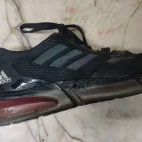 کفش یا کتونی