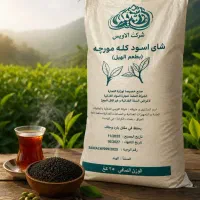 چایی کله مورچه ای هندوستان
