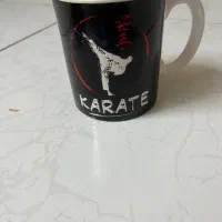 ماگ طرح کاراته کار