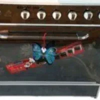 گاز پنج شعله طرح فر