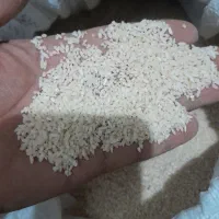 برنج عنبر بو
