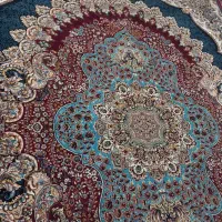 قالی|فرش|باوی, |دیوار