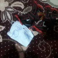 گرامپون هفت گوهر هشت شاخ