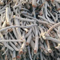 چوب|خدمات باغبانی و درختکاری|رفسنجان, |دیوار