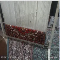 دار قالی