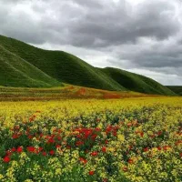 سفر گلستان شمال ایران