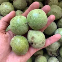 گردو تازه مغز دار