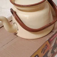 ظروف لعابی