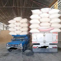 سامان خرید کاه گندم نقدی سر باسکول