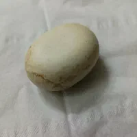 یک عدد سنگ اسیاب