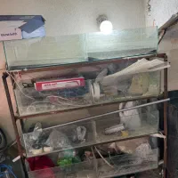 اکواریوم سالنی