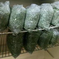 انواع سبزی