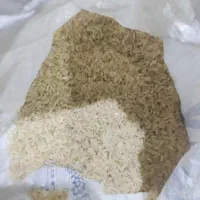 برنچ چمپا یاسوج