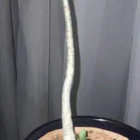 واگذاری و فروش شرکت ثبت ۸۶