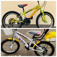 (دوچرخه بزرگسال و کودک موجود در هر مدل*