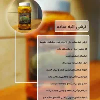 فروش ترشی انبه بندر