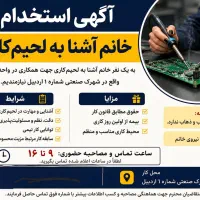 خانم اشنا به لحیم کاری