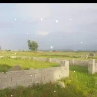 دارخوین-بصیرت1