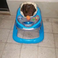 رو وک سالم مارک دلیجان