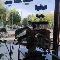 فروش منزل مسکونی برخیابان