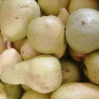 گلابی بیروتی و سیب
