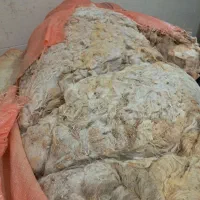 پشم فروشی