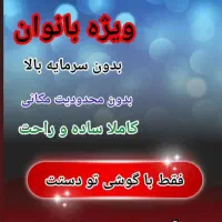 کسب درآمد آنلاین خانگی بانوان