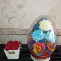 گلدان و عروسک