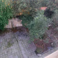 فروش-مغازه