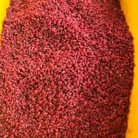 زرشک پاکنی و سورتینگ