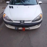 ۲۰۶ اصل فرانسه