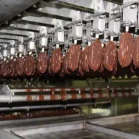 استخدام نگهبان تمام وقت