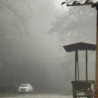 اجاره اپارتمان