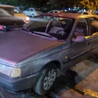 پژو ۴۰۵ دوگانه