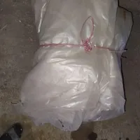 پلاستیک
